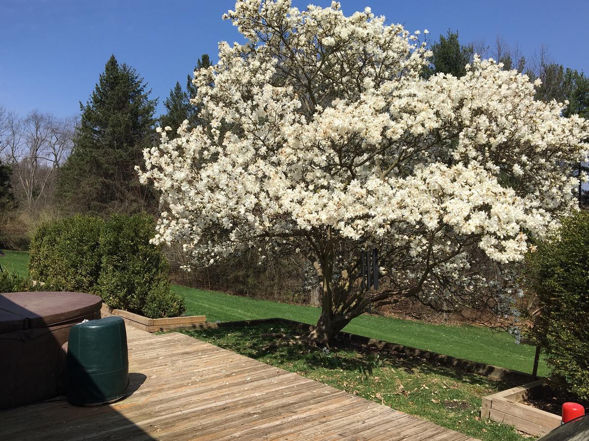 Huron River Guest House Ann Arbor Bagian luar foto