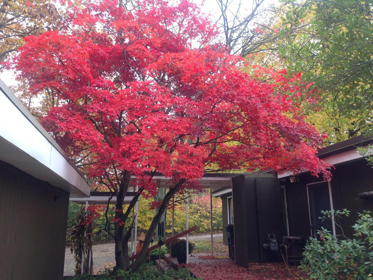 Huron River Guest House Ann Arbor Bagian luar foto